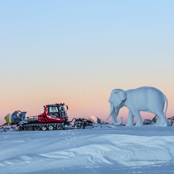 Hannibal Elefant Pistenbully