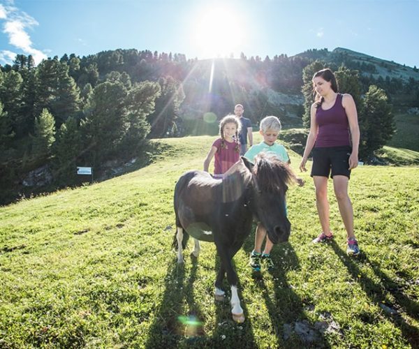 Pferde streicheln im Widiversum Soelden